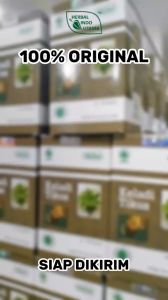 HIU – KELADI TIKUS Mencegah dan Mengobati Kanker