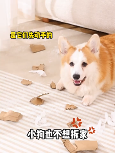 Squeaky Dog Toys Plush Cotton Fat Head Fish Interactive Chew Toy Puppy Teething Molar Toy Pet Chewing Toy Bite Resistant