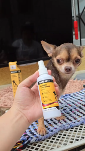 WASSUPET 100ml Pet Antifungal Wound Spray for Dogs & Cats Anti Itch Hypoallergenic for Ringworm Itching Mange Anti Tick Flea Skin Repair Care Spray