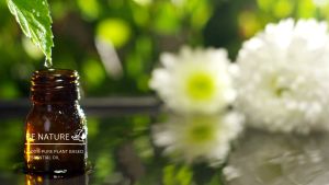 100% Pure Plant Based and High Concentration Essential Oil - Roman Chamomile Essential Oil (10ml)