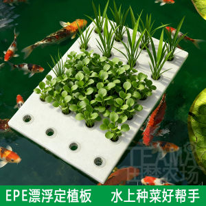 Hydroponic Vegetables with Holes Floating Planting Board Aquatic Vegetables Strawberry Foam Board Fish Pond Greenhouse Soilless Cultivation Equipment