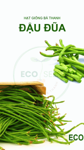 [EcoSeeds] Combo 2 Gói Hạt Giống Đậu Đũa Hoa Sen Hybrid F1 - Sinh Trưởng Mạnh Chịu Hạn Chịu Nhiệt - Gói 10g