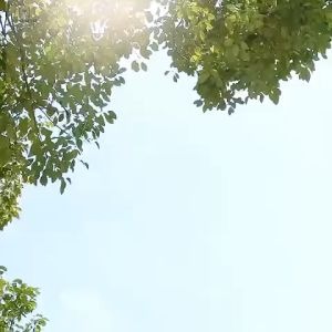 Portable Mini Handheld Fan Rechargeable Handheld USB Pocket Personal Cooling Fan with Powerbank