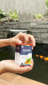 SendiFit - Obat Herbal Asam Urat Rematik Nyeri Sendi dan Tulang Radang Sendi Nyeri Otot Pegal Linu Encok Syaraf Kejepit Kesemutan 100% Original Bpom