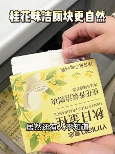 Yinian | Powerful Deodorizing Toilet Cleaner