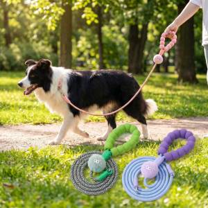 Teeker Pet Professional Dog Training Slip Lead with Soft Handle No Choke Anti Burst Leash for Shih Tzu Border Collie