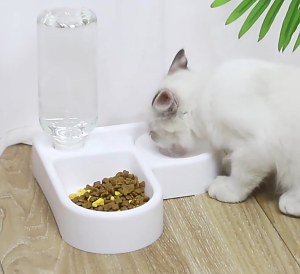 Pet Double Use Bowl Moisture-proof Automatic Leak-proof Drinking Machine Pet Drinking and Feeding Bowl Pet Supplies