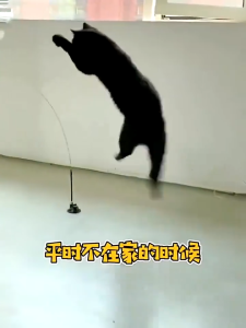 Cat Interactive Toy Cat Toy Teaser Cats Teaser Feather Stick Toy Suction Cup Mainan Kucing Murah