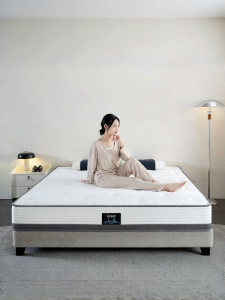 ASNUG | Two-way Firm Spinal Support Palm Mattress