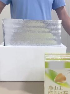 Thermal Insulated Aluminium Foil Bag Large