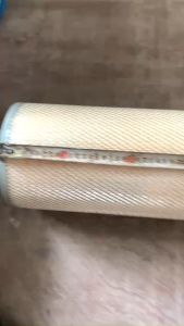 Lọc gió ô tô 20x33