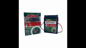 Heavy Duty BAJAJ CT100 Motorcycle Battery 12N2.5L-BS (Gel Battery Maintenance Free)