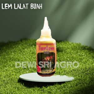 TOPLEM 100 ML LEM LALAT BUAH PENYEBAB BUSUK DAN RONTOK BUAH