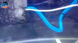 GINGA GA 203K Mesin Top Filter Box Kotak Aquarium Ikan Aquascape