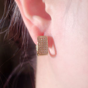 SEQUITO Temperament Ladies Jewelry Yellow Gold Plated Micro Pave Tiny AAAAA Zirconia Banquet Sparkly Round Hoop Earrings Clothing Accessories SE956