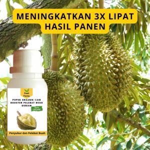 Pupuk Durian Cepat Berbuah / Pupuk Pelebat Buah Durian / Pupuk Booster Durian Cair