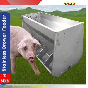 Viddavet pigs automatic feeder automatic feeder for pig semi automatic feeder for pig viddavet automatic feeder