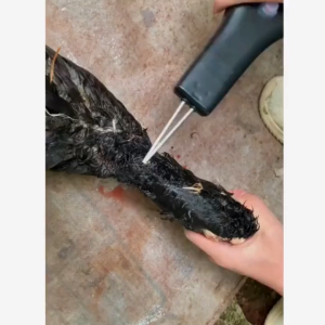 Máy Nhổ Lông Vịt Cầm Tay  Máy Vặt Lông Vịt Gà Lông Măng