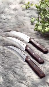 Dao lưỡi liềm (lưỡi cong) Nhật Akatsuki dài 26cm thép không gỉ (bổ) khui sầu riêng