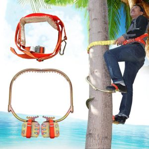 Coolthings อุปกรณ์ปีนต้นไม้ อุปกรณ์ปีนเสาไม้ รองเท้าปีนต้นไม้อุปกรณ์ปีนต้นไม้ อุปกรณ์ปีนเสาไม้ รองเท้าปีนต้นไม้/Tree climbing equipment Wooden pole climbing equipment Tree climbing shoes