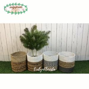 Tanaman Hias Daun Pinus Cemara Tangkai X4 Latex Artificial Cover Pot Seagrass Variasi Warna Pohon Pajangan Dekorasi