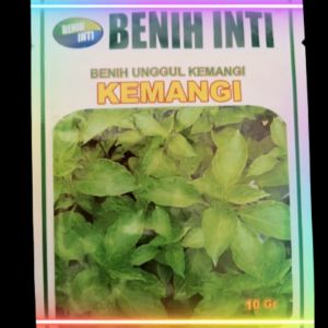 Benih Kemangi Daun Lebar KEMANGI 10 gram Cap BENIH INTI