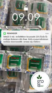 [แพ็ก10เม็ดสุดคุ้ม] ไฮจิพ20 5 กรัม  *ล็อตใหม่ทะเบียนปี70* ไอซีพี ลัดดา จิบเบอเรลลิก 20% จิ๊บเม็ด จิ๊บ สารยืดลูก ยืดช่อดอก ยายืด ยืดผล  ยืดต้น ควบคุมการยืดช่อดอกของไม้ผล เร่งขยายเซลล์พืช  ขยายผล องุ่น ถั่วฝักยาว