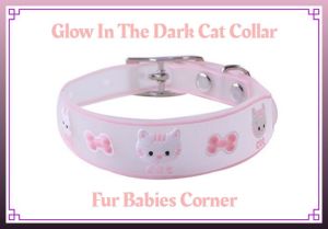 Adjustable And Cute Reflective Pet Collar with Bell For Cats Or Small Dogs (Random Color)(19-32cm)