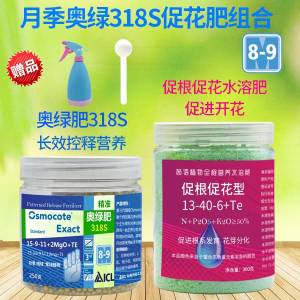 Ao Lu Fei No. 1 Rose Special Succulent A2 Orchid Potted Impo Mobile Phone Accessories Digital Electronics Accessories