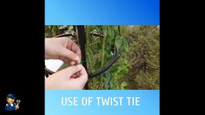 Garden Wire Roll Wire Twist Ties 20m 30m 50m For Gardening Plant And Office Organization Or Home Kitchen Cable Ties