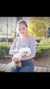 [SG Ready Stock]Reversible Hands-Free Pet Sling Carrier /SoftAdjustable Bag for Small Dogs/CatsTravel-Friendly Tote
