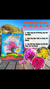 Phân NPK 3 Màu 14-13-13+6s+TE | Phân NPK Chuyên Dùng Cho Hoa và Cây Cảnh | Better 14-13-13+6s+TE