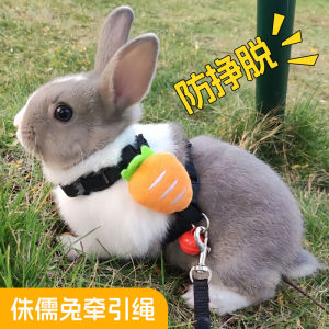 Anti-Escape Rabbit Leash for Outdoor Use Ideal for Dwarf Baby Rabbits Ear Drop Chinchillas And Other Small Pets