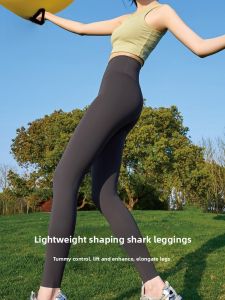 Miiow | High-Waist Fitness Yoga Pants Womens Spring Summer Shark Skin Tight Thin Base Layer Pants MiiOW Cat Person Nylon Spandex