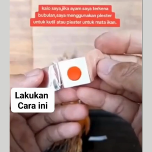 PLESTER BUBUL AYAM IMPORT HARGA 1 PLESTER MATA IKAN AYAM MENUTUP LUKA BUBULAN