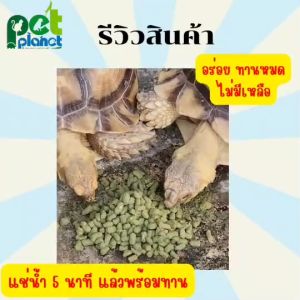 Turtle Land Pet2Go Snacks, 2
