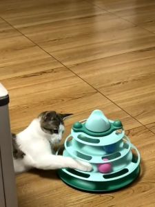 Cat Tower Ball Spinning Balls Toy 3 Layers Teaser Ready Stock