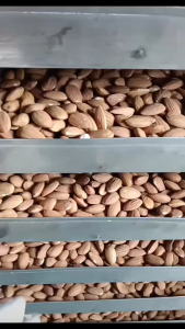 HẠNH NHÂN FRESH TAMARIND 500g