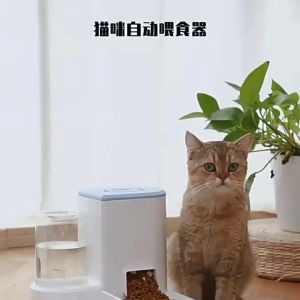 พร้อมส่งที่ไทย ที่ให้อาหารสัตว์เลี้ยง ตัวป้อนมัลติฟังก์ชั่ สเตนเลส ที่ให้น้ำสัตว์เลี้ยง ใช้งานง่าย ที่ให้อาหาร-น้ำอัตโนมัติ เกรดพรีเมี่ยม 2IN1