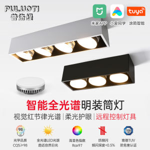 Prothi LED Built-In Downlight Full Spectrum Smart Living Room Ceiling Mounted Daring Light GX53 Combination Box Alloy Material