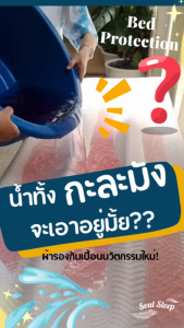 ผ้ารองกันเปื้อนนวัตกรรมใหม่!! ไม่ซึมเปื้อน1000000% - Soul Sleep