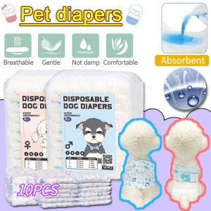 Adjustable Doggy Underwear: A Comprehensive Guide
