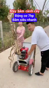 Máy tàu dừa băm cành cây đa năng 7hp siêu khoẻ