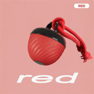 Pet Ball for Dogs Interactive Toys Motion Activate Rolling Ball for Puppy/Small Dogs Automatic Moving Toy USB Rechargeable Toy