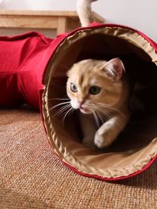 Cat Tunnel Nest Japanese Passage Foldable Toy Roller Penggelek Mainan Kucing Lipat