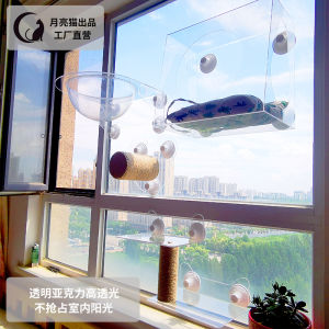 Acrylic Transparent Cat Nest & Suction Cup Climbing Frame: A Comprehensive Guide