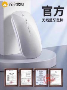 Wireless Bluetooth Mouse for Laptop Computer Charging Model USB Silent 10m Range 3 Buttons 1 Scroll Wheel Eurobird