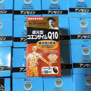 Noguchi Medical Research Institute Q10 100mg Japan Fatigue Relief - 2 Capsules/Day
