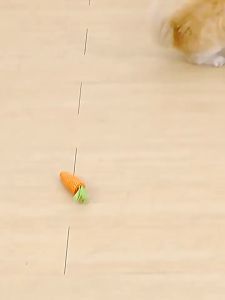 Đồ chơi củ cà rốt mài răng cho Mèo bằng giấy đặc biệt - Love Pets Shop