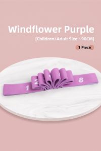 aiwuge | Adjustable Resistance Ballet Training Band 12 Segment